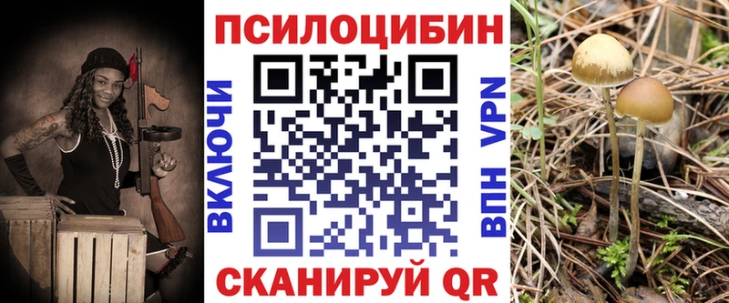 наркотики  Колпашево  Галлюциногенные грибы мицелий 